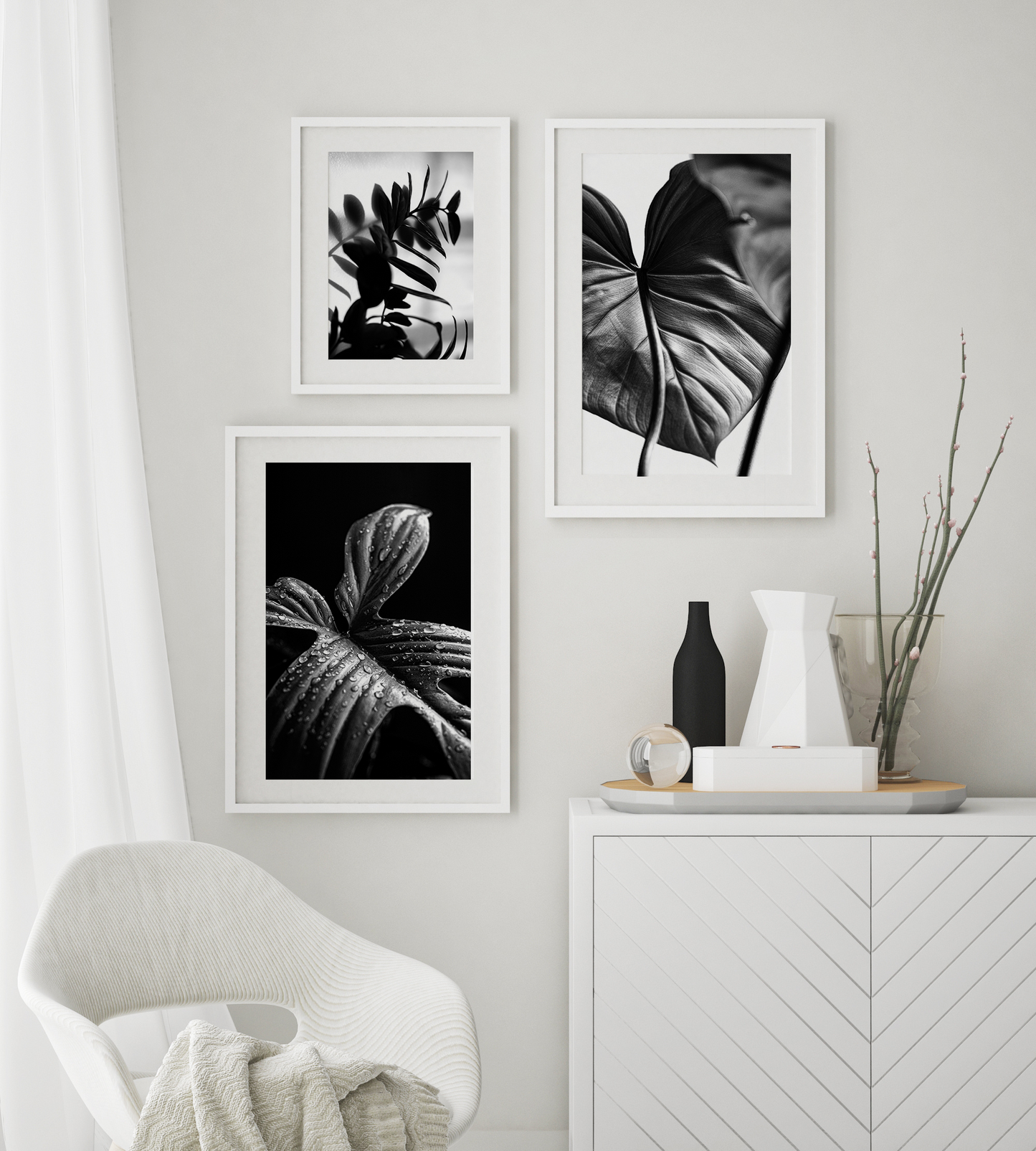"Philodendron Florida Ghost"