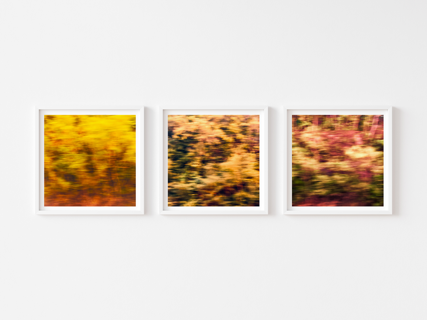 In Motion 01