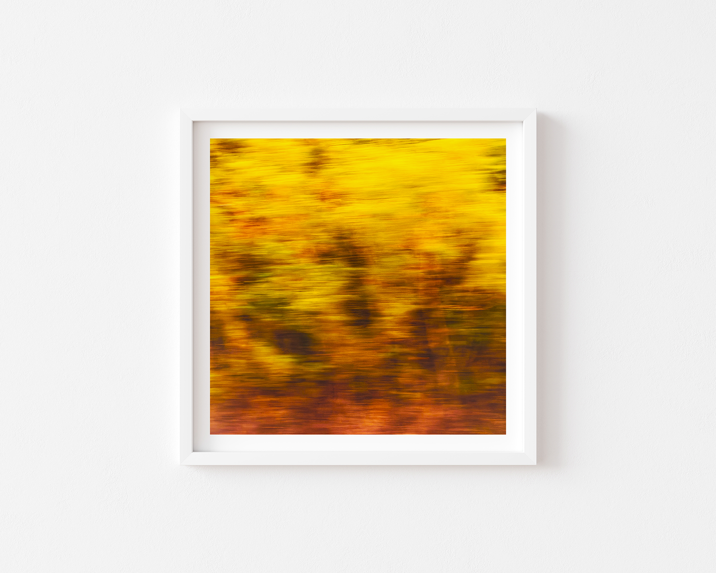 In Motion 01