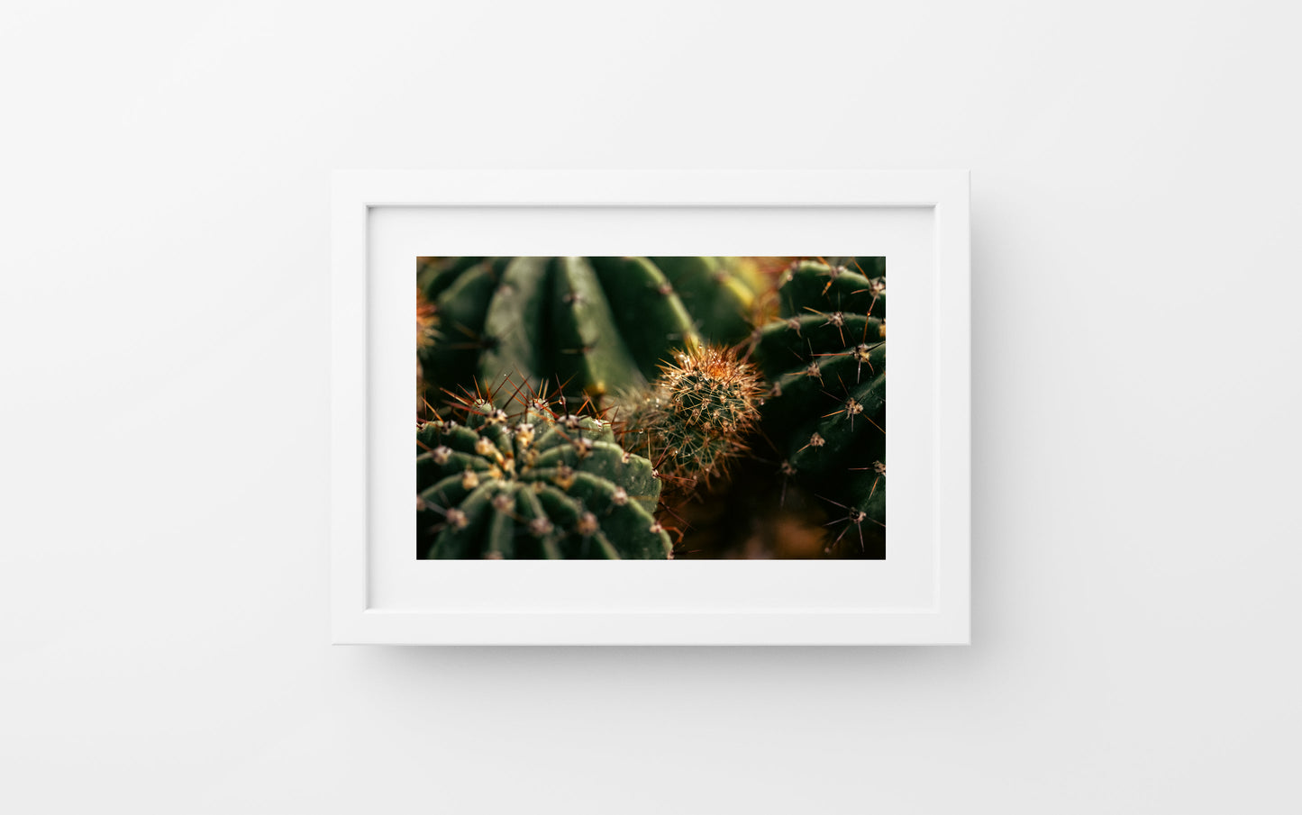 “Morning Dew”
