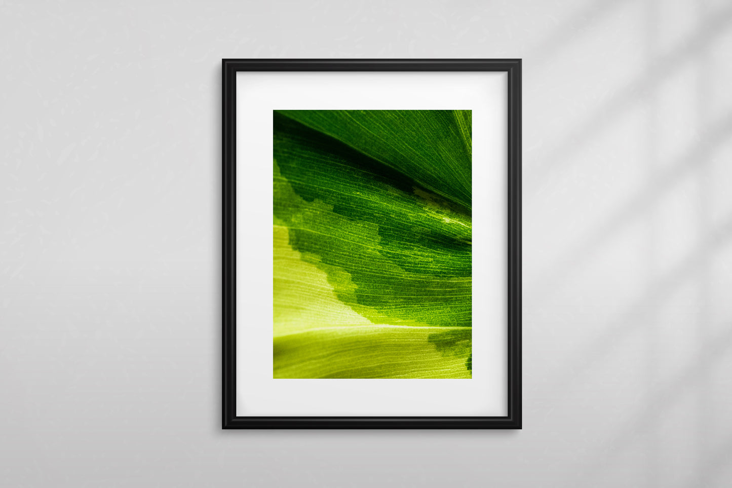 Artist Proof "Amanecer 004" - 11” x 14”